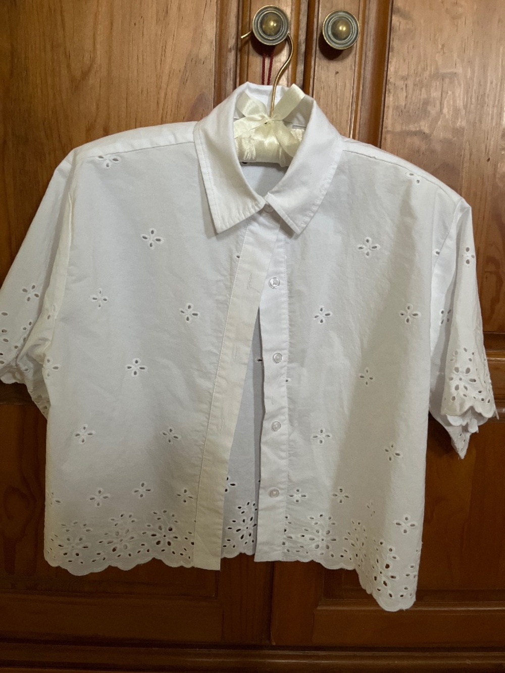 NWOT Free Assembly Cropped Eyelet Shirt